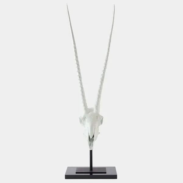 Gemsbok Skull Sculpture, Matte White