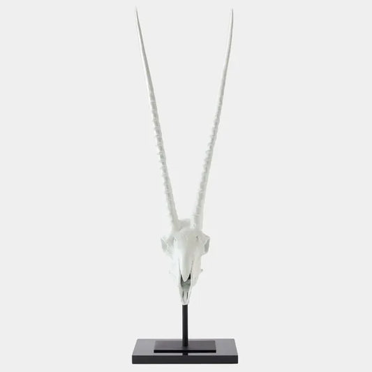 Gemsbok Skull Sculpture, Matte White